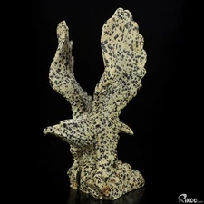 8.5" Dalmatine Hand Carved Crystal Eagle Sculpture, Crystal Healing
