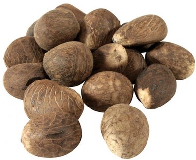 Ecuador Tagua Nuss Vegan Elfenbein Natur Bastel Knöpfe Schmuck Fair Trade