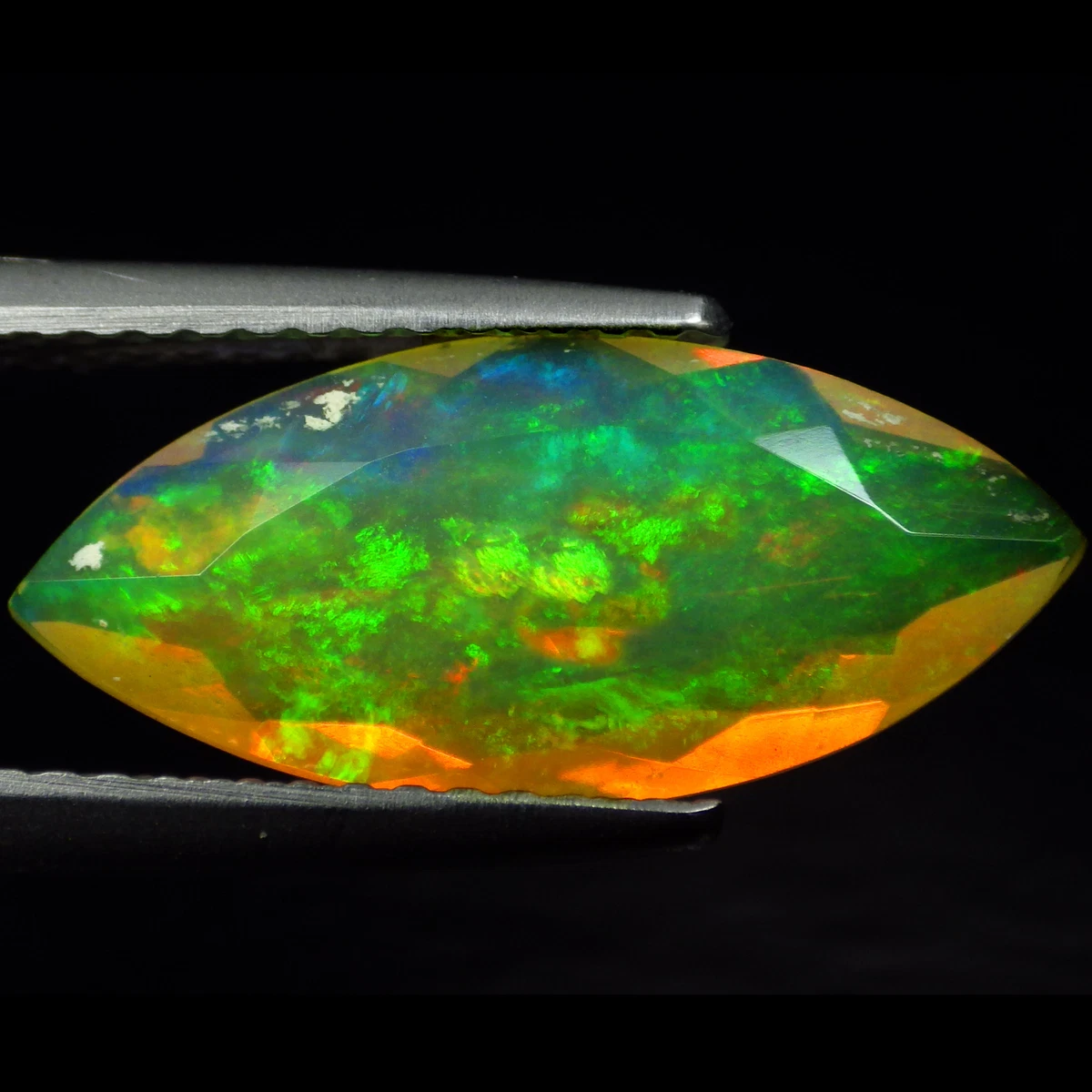 Harlequin opal for best sale sale