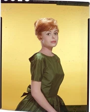 Deborah Walley 1960's Columbia Pictures Photo Shoot Original 4x5 Transparency 