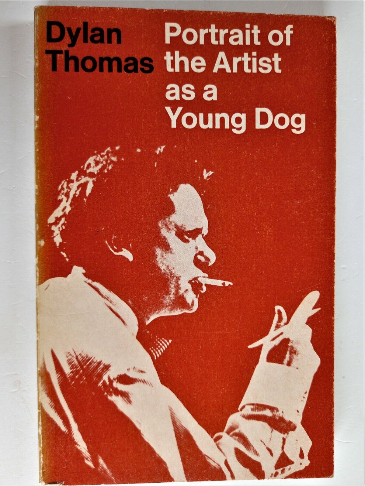 Portrait of the Artist as a Young Dog by Dylan Thomas