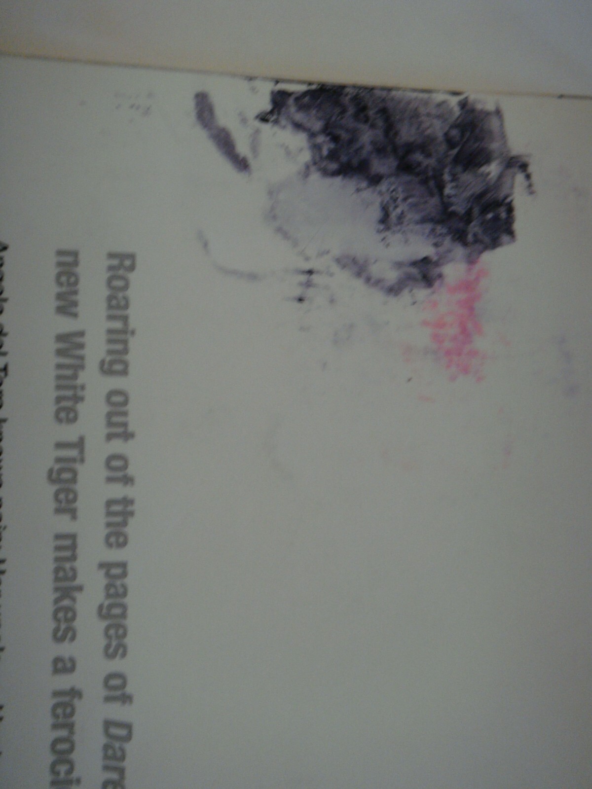 Picture 4 of 4