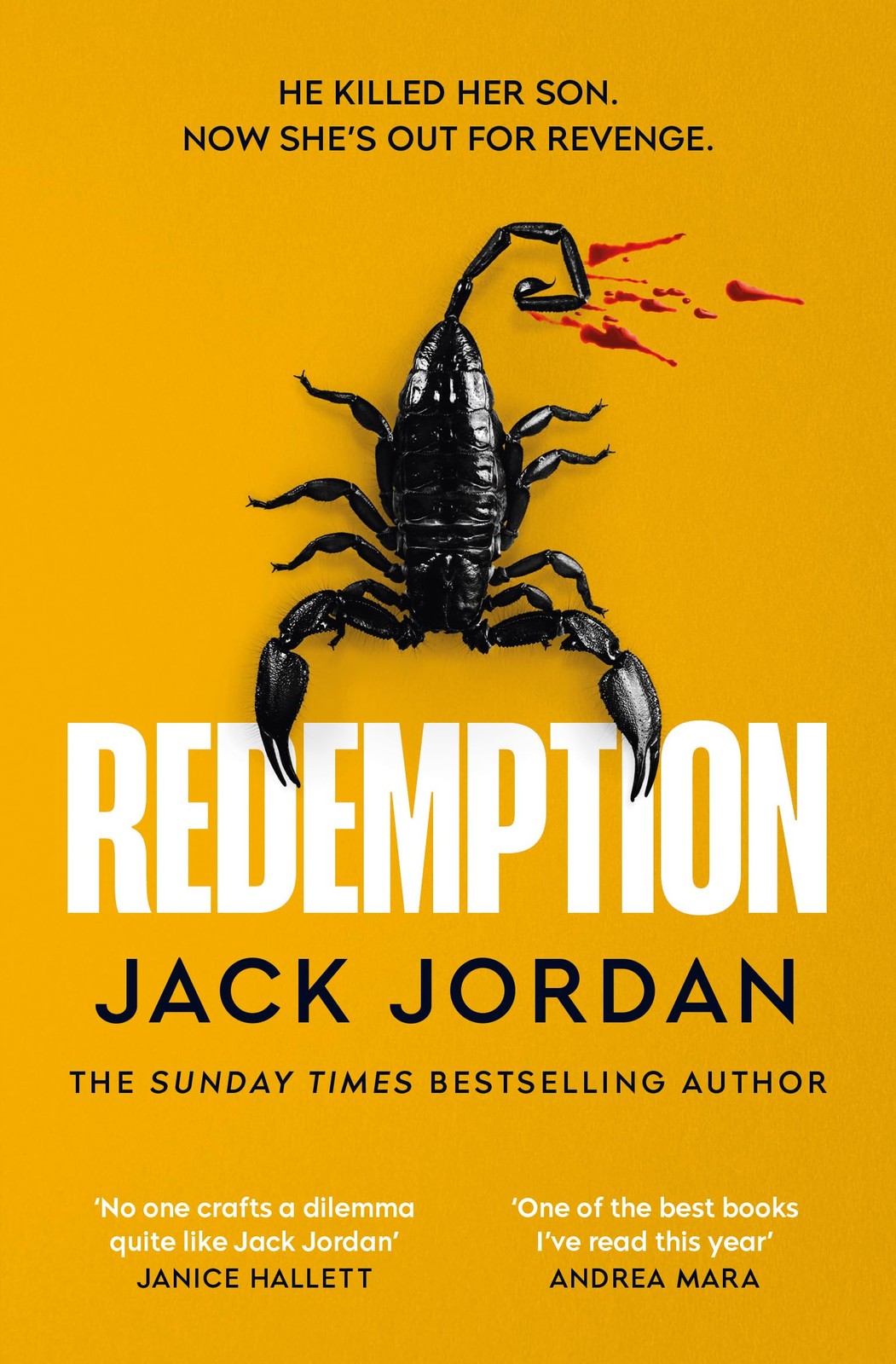 Redemption by Jack Jordan PAPERBACK - Image 2
