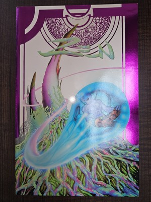 Zen Intergalactic Ninja Tour of the Universe Special - Entity 1995