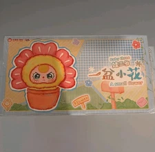 Baby Three “A Small Flower” Blind Box – Factory Sealed Full Case of 6