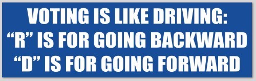 Voting Is Like Driving R Backward D Forward 3x10 Vinyl Bumper Sticker - Picture 1 of 1