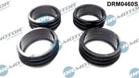 Dr. Motor Automotive DRM0460S Dichtung Set, AnsaugkrüMmer FüR Audi, Seat, Skoda,