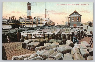 New Orleans Louisiana Cotton Levee Mississippi River Wharf Divided Back Postcard