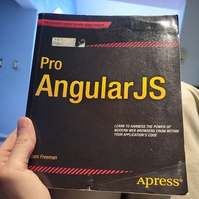 Pro AngularJS by Adam Freeman (2014, Trade Paperback)