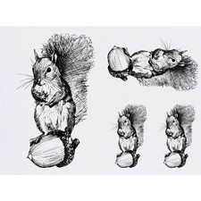4 x 'Squirrel With Acorn' Temporary Tattoos / Transfers TO00007581 