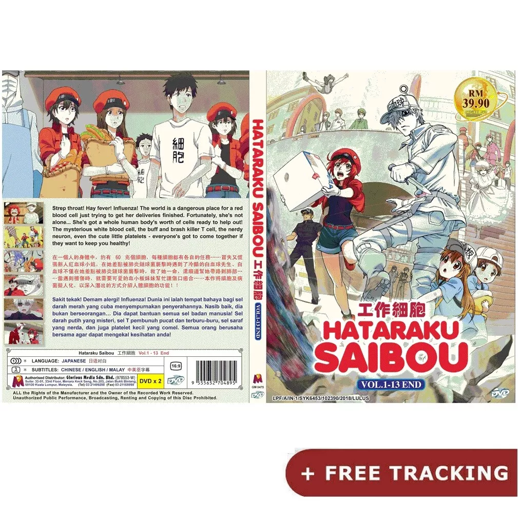 MY WEEK IN ANIME: Hataraku Saibou Episode 1