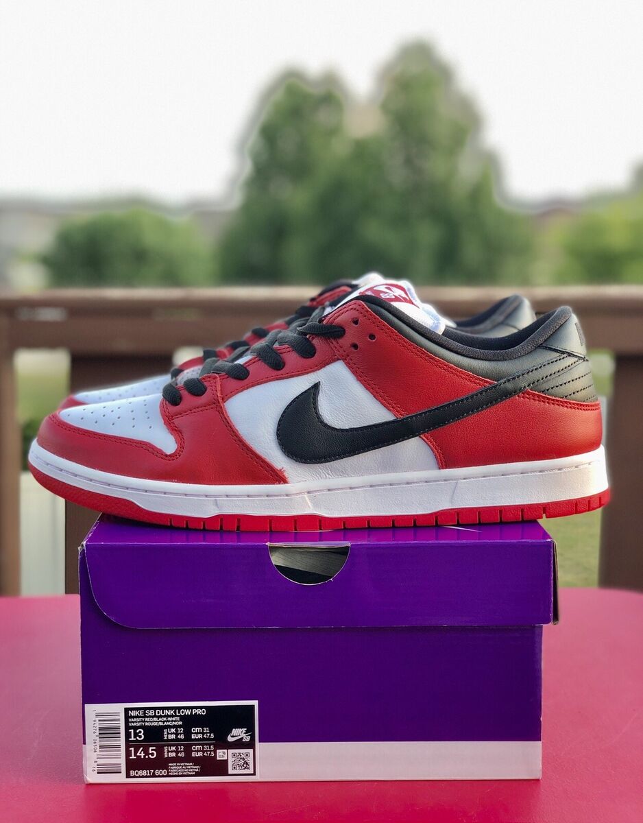 Nike SB Dunk Low Pro Chicago