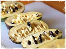 Pianta di BANANO DI MONTAGNA Asimina triloba 'sunflowers' innestata - h.50/60 cm