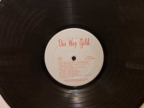 Doo-Wop Gold Vol. 1 1970 Rare Bird 2 LP Compilation - Foto 4 di 9