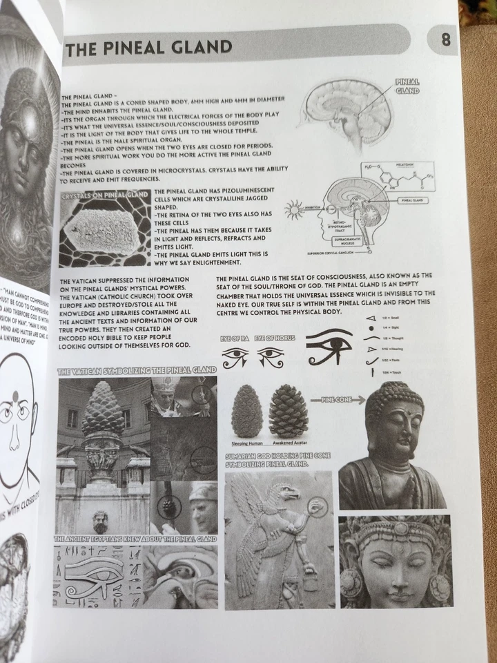 Book of Wisdom Volumes 1 & 2 by Harry B. Joseph (Limited Paperback Bundle) - Image 3 of 4