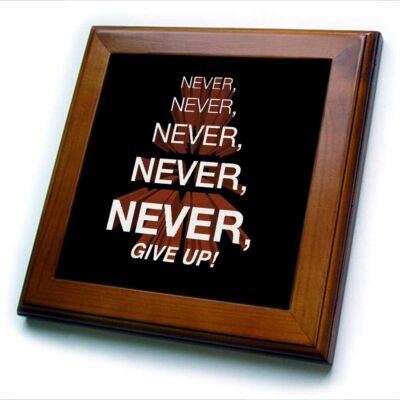 3dRose Winston Churchill motivational quote. Never, never, never, give up. 8x8 F