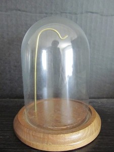 Vintage Glass Display Dome with Wooden Base