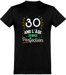 T Shirt Homme 30 Ans La Perfection Cadeau Homme Humour Papa Anniversaire Origi Ebay