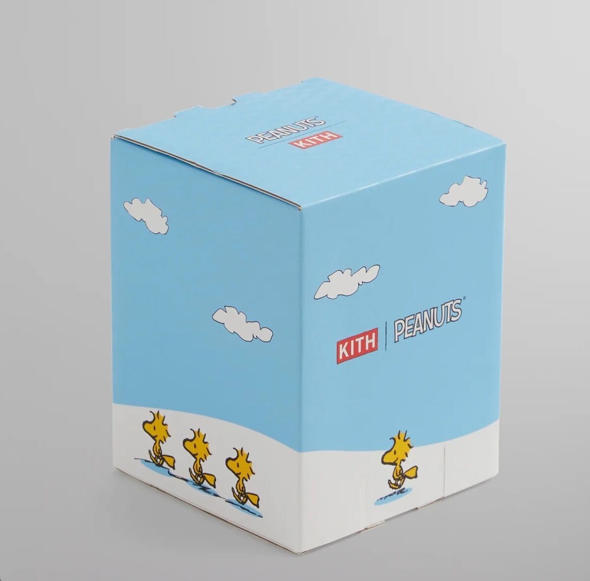 Kith for Snoopy Kithmas House Kith for Peanut Piggybank Kith for Snoopy Kithmas House Kith for Peanut Piggybank