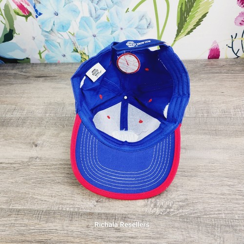 NAPA Racing Elliott 24 Capp 28 Intrepid Fallen Heroes Fund Strap Back Hat Cap - Picture 8 of 11