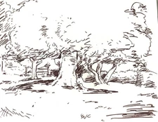 Landscape Ink Drawing on Paper Original Signed