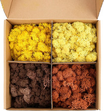 Preserved Moss 4 Color Reindeer Moss,Total 14OZ Each Color 3.5OZ, Natural Real G