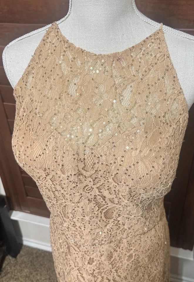 Vestido Anny Lee Beige Encaje Lentejuelas Formal Plus 3XL Madre de la Novia Novio Foto 2 de 4