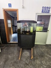 acquario marino usato