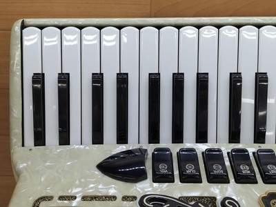 【GUERRINI】美品アコーディオン 41鍵120ベース Guerrini Berkeley Accordion 41 Key 120 Bass Italy w/Case Vintage
