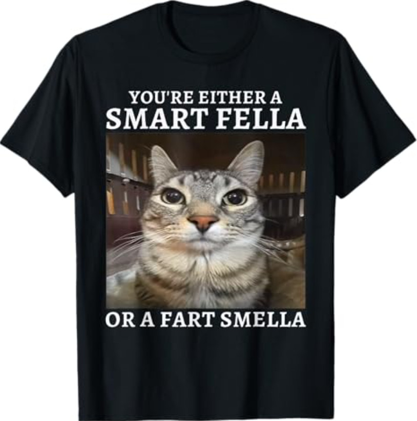 You're Either a Smart Fella or a Fart Smella Funny Cat Meme T-Shirt