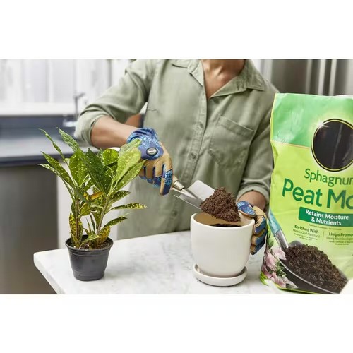 Sphagnum Peat Moss – Ideal for Containers, In-Ground Soil & Acid-Loving Plants - Picture 3 of 8