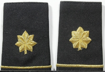 army dress blues shoulder boards USAMM - Army Male Shoulder Boards - Infantry