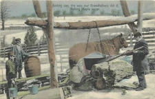 c1910 White River Junction Vermont Making Maple Sugar Postcard VT25-1158