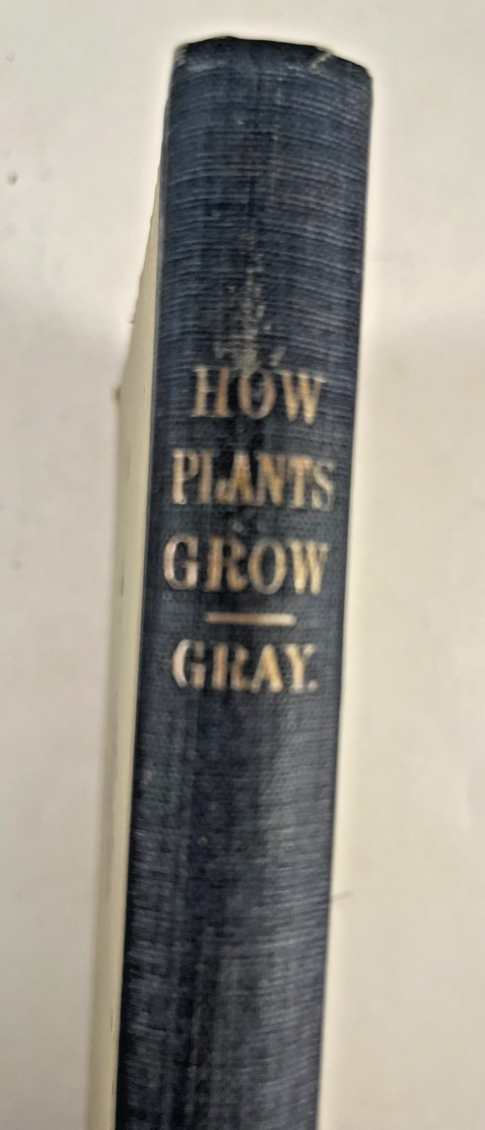 How Plants Grow with A Popular Flora by Asa Gray, M. D. 1858 ACCEPTABLE
