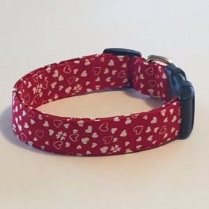 valentines dog collar