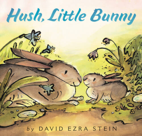 Hush Little Bunny Hardcover by David Ezra Stein in Good Condition