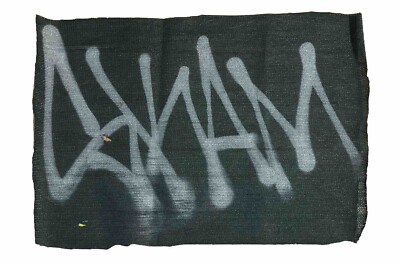 アートギャラリー 2013 No.28 SKAM AVL nyc Graffiti Art spray paint Barry McGee Obey Giant JA