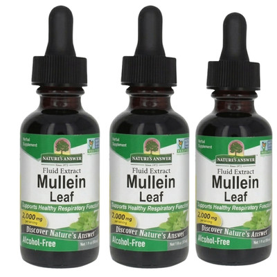 Nature's Answer Mullein Leaf Extract 3 Pack 1oz Alcohol Free Lung Respiratory