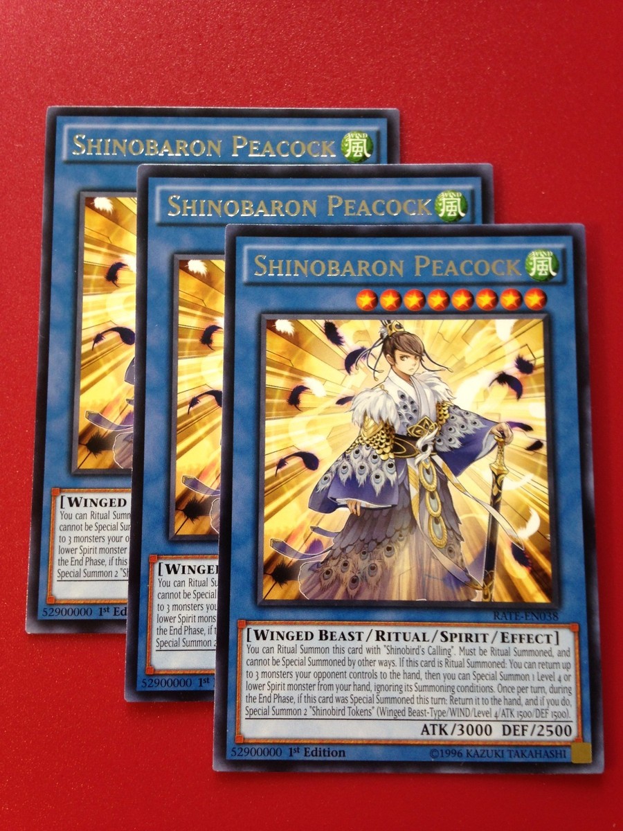 shinobird deck yugioh Yu-Gi-Oh! - Raging Tempest main image 1