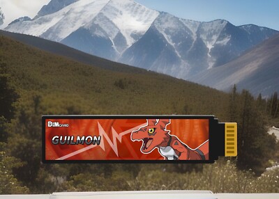 CUSTOM  DIM Guilmon EX DIGIMON DIM Vital Bracelet/VITAL HERO  Dim Card