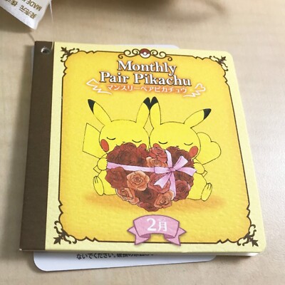 Pokémon Center Monthly Pair Pikachu February 2017 Plush Toy