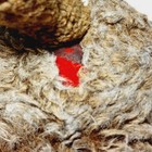 Bild 4 von 6