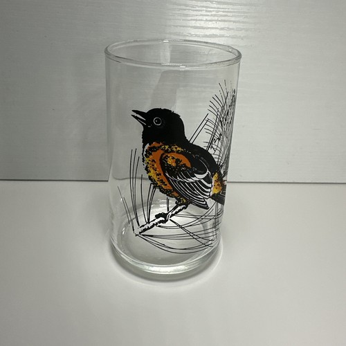 Vaso de beber vintage Baltimore Oriole Bird 12 oz - Kitschy Y4