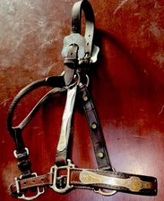 Western Sterling Overlay Handmade Mare Size Show Halter Horse Tack