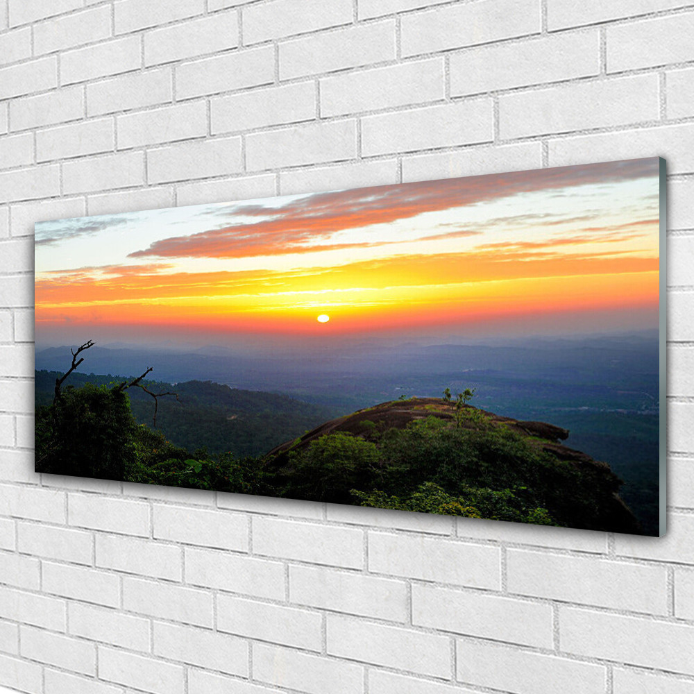 Tableau sous verre 125x50 cm Tulup pour illuminer un mur sombre avec la nature