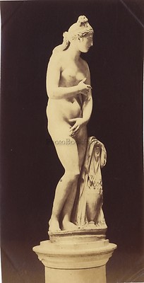Venus Aphrodite -statue Greco-Roman Italien Griechenland Vintage Albumin, Ca