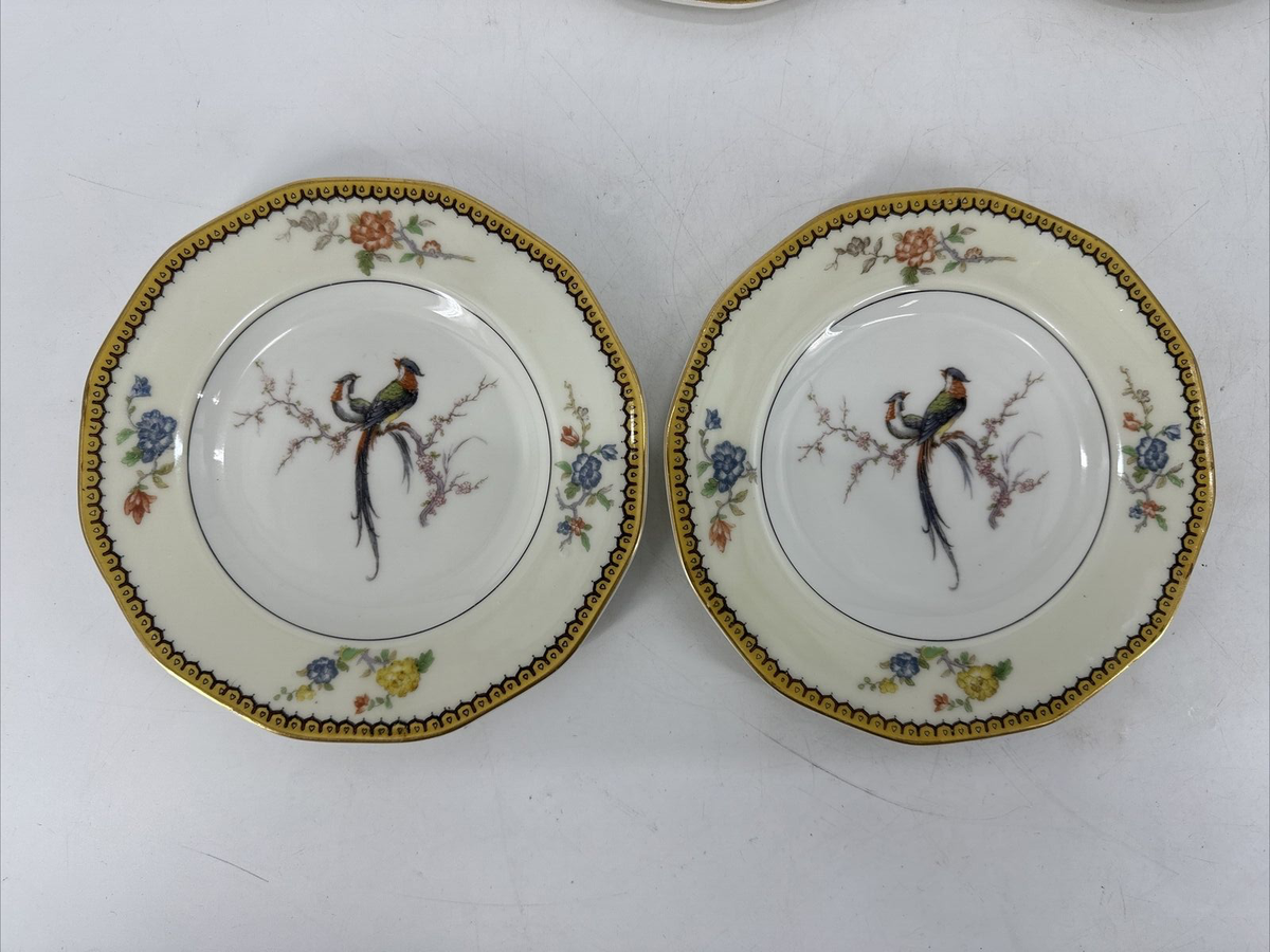 23 PIECES Vintage Theodore Haviland Limoges Blois Birds of