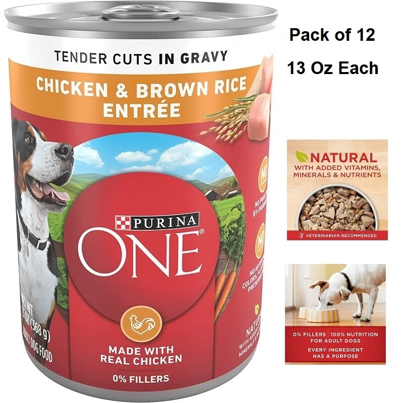 Purina ONE Wet Dog Food Gravy Chicken and Brown Rice Entree 13oz Cans Pack of 12