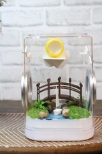 Jumping Spider Enclosure, Insect Terrarium, Bug Enclosure, Spider Cage, Jumping