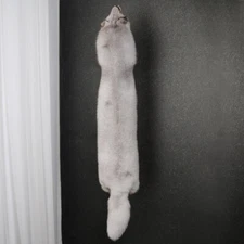 1Pcs Real Tanned Blue Fox Hide Natural Fur Pelt Crafts Leather Decor 39-47 inch